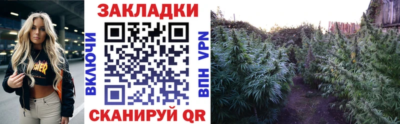 Метадон Благовещенск