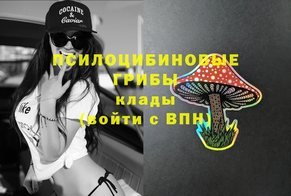 героин Вяземский
