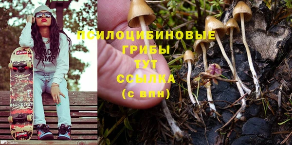 ешки Вязьма
