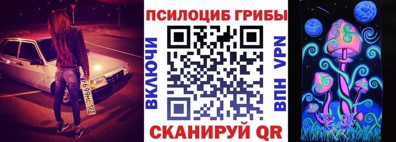 продажа наркотиков  Благовещенск  это как зайти  Галлюциногенные грибы мицелий 